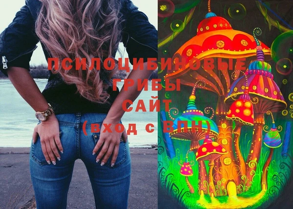 прущие крисы Баксан