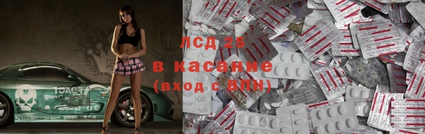 тгк Дмитриев