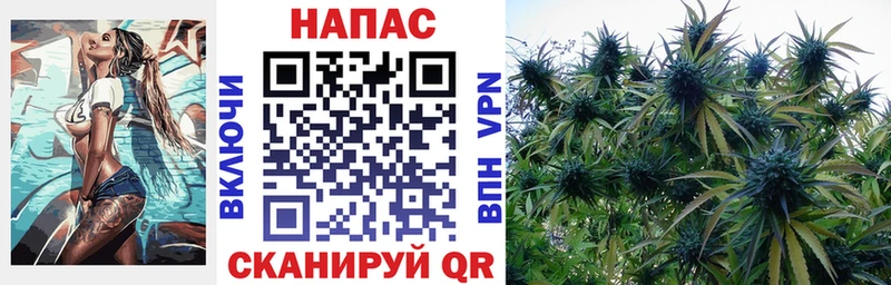 Конопля VHQ  omg как зайти  Кубинка 